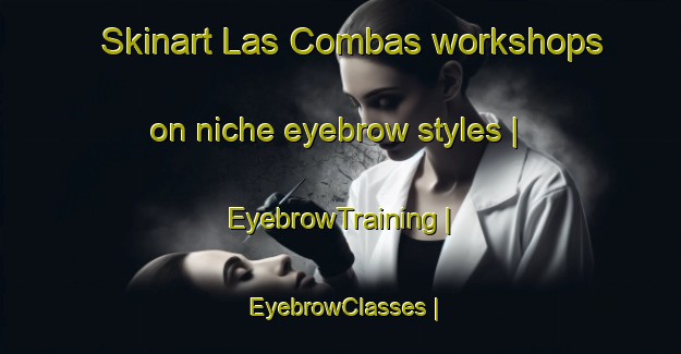 Skinart Las Combas workshops on niche eyebrow styles | EyebrowTraining | EyebrowClasses | SkinartTraining-France